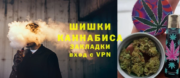 прущие грибы Алзамай