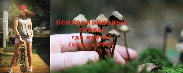 спайс Алексеевка
