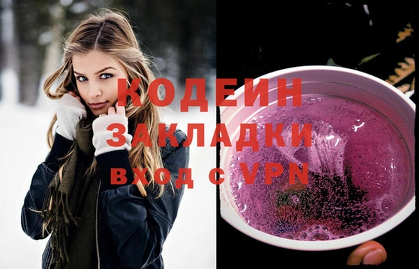 прущие грибы Алзамай