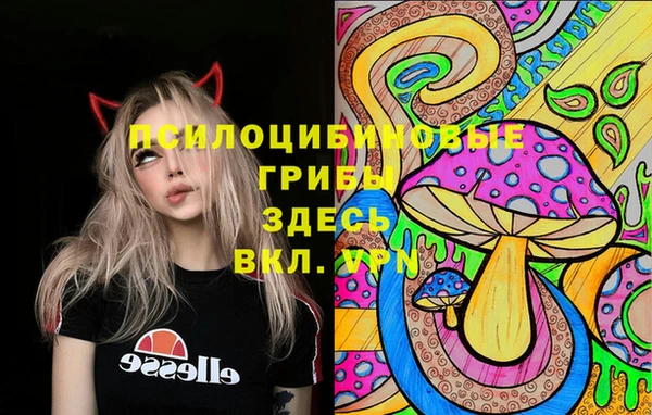 прущие грибы Алзамай